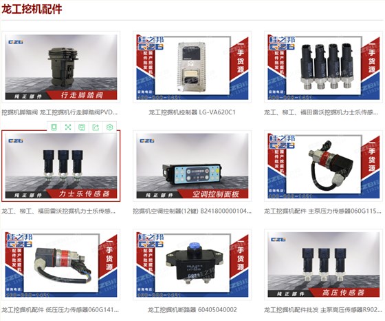 專業(yè)龍工挖掘機(jī)配件