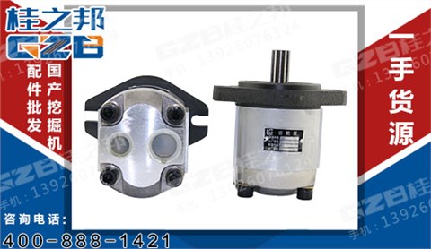 柳工挖掘機配件批發(fā) 發(fā)動機先導齒輪泵  11C0122