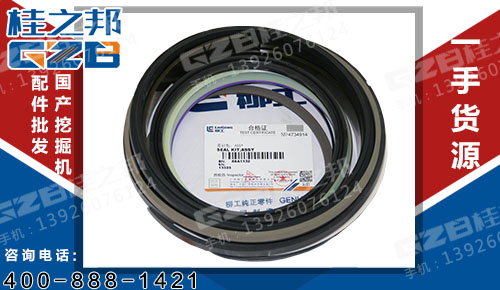 批發(fā)昆明柳工挖機配件大量供應-桂之邦